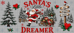 16oz Christmas-S  2971